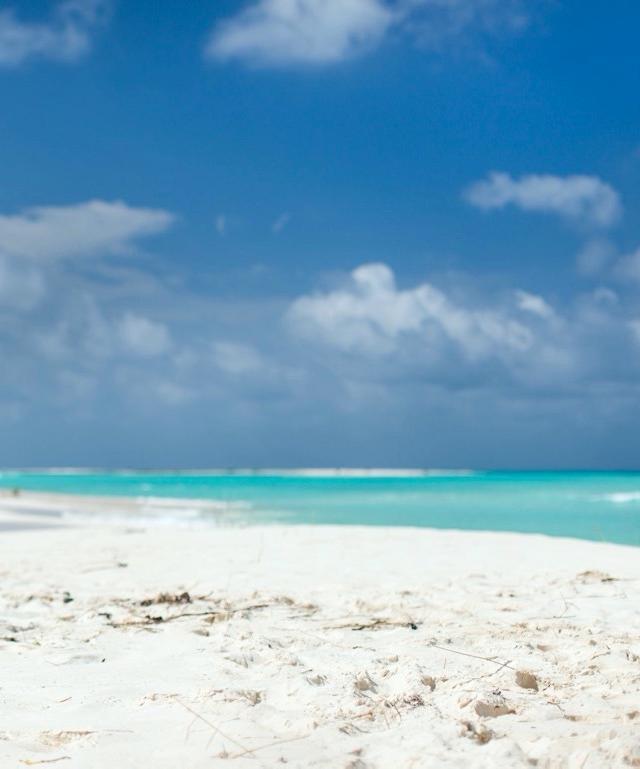 kuba-flitterwochen-strand-g-460429211.jpg