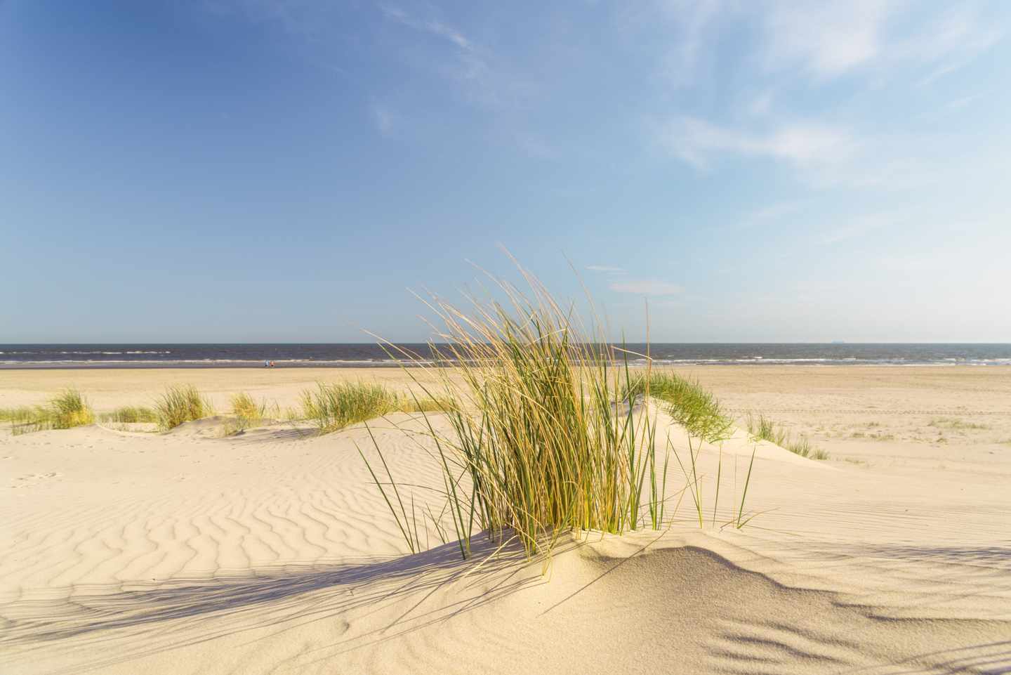deutschland-niedersachsen-spiekeroog-duenen-strand-meer-g-994866340.jpg