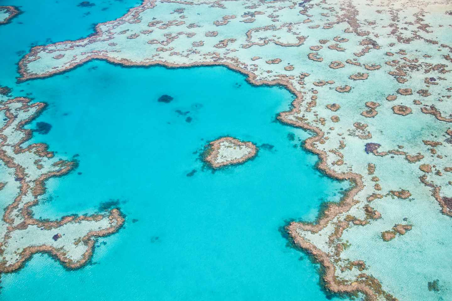 australien-great-barrier-riff-t-617773880.jpg