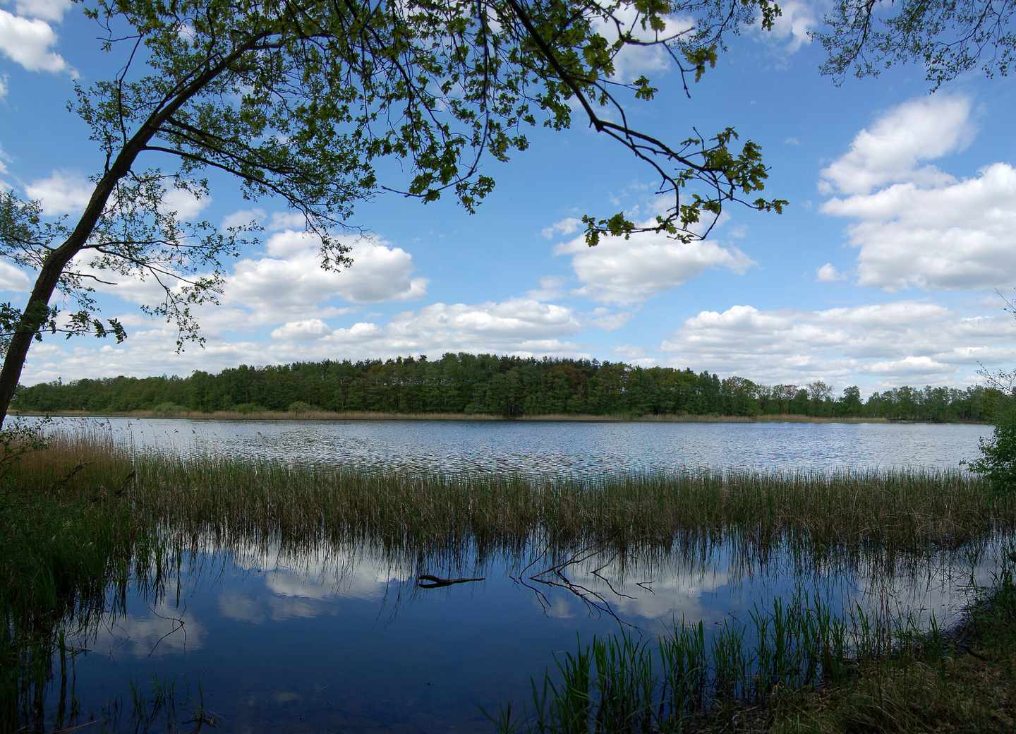 brandenburg-potsdam-see-klein-g-89491132.jpg