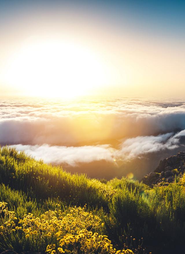 Madeira-Retreat-Tipps – hier geht’s zur inneren Balance