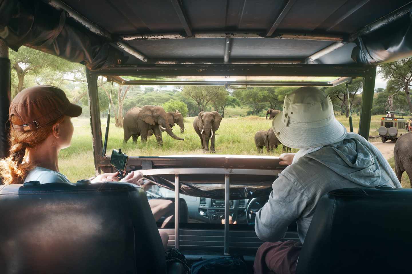 afrika-tansania-safari-paar-elefanten-g-1212665850.jpg