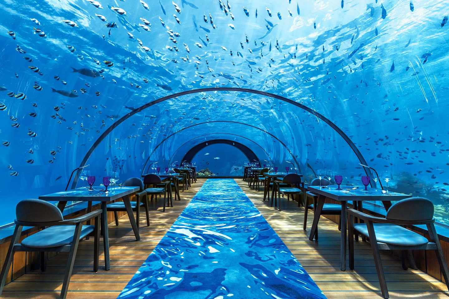 luxus-unterwasserrestaurants-malediven-5punk8-MLE14117_DER1107861.jpg
