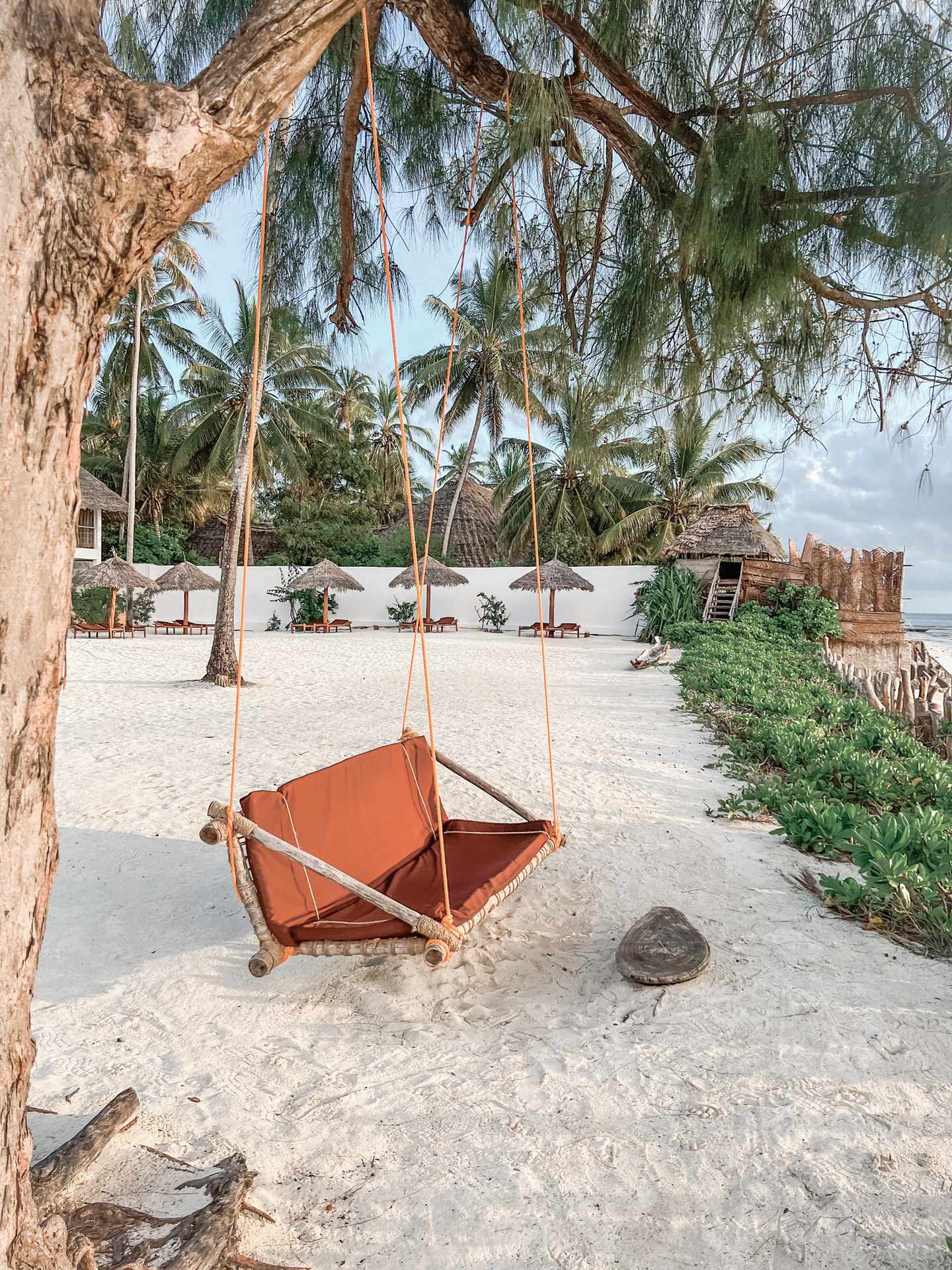 blt9a9d56eddfa51d90-afrika-sansibar-schaukel-am-strand-g-1479939792.jpg Entspannt im Sansibar-Urlaub: Schaukel am Baum