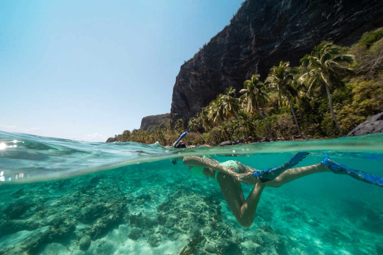 blt00ec0234adb6717c-dom-rep-samana-playa-fronton-schnorcheln.jpeg Schnorcheln in der Dominikanischen Republik