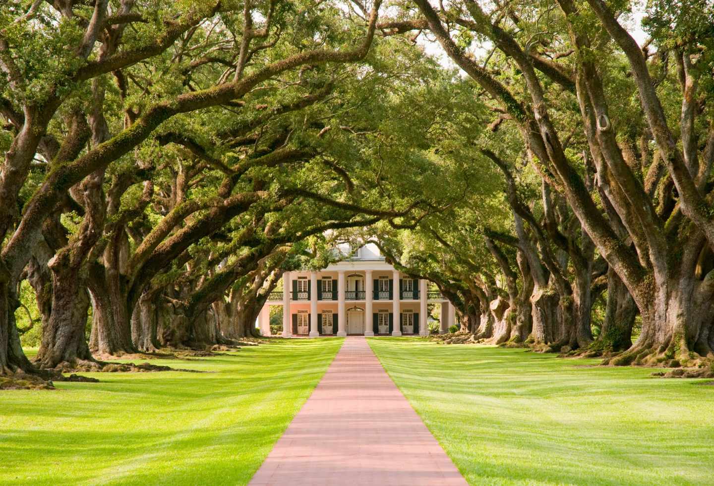 usa-louisiana-oak-alley-t-97932247.jpg