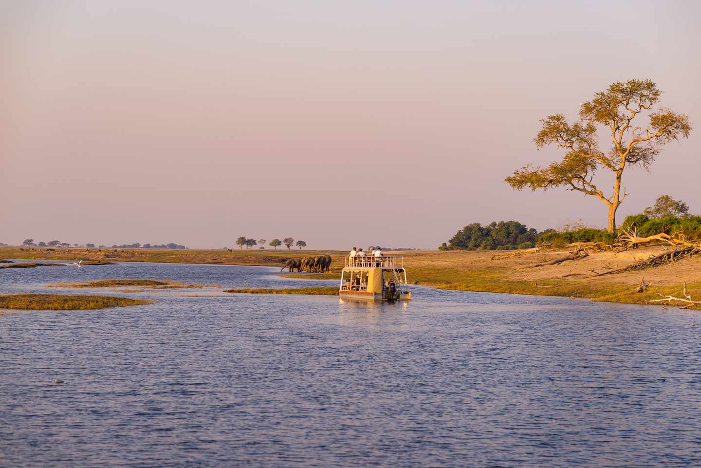 botswana-fluss-safari-g-906735048.jpg