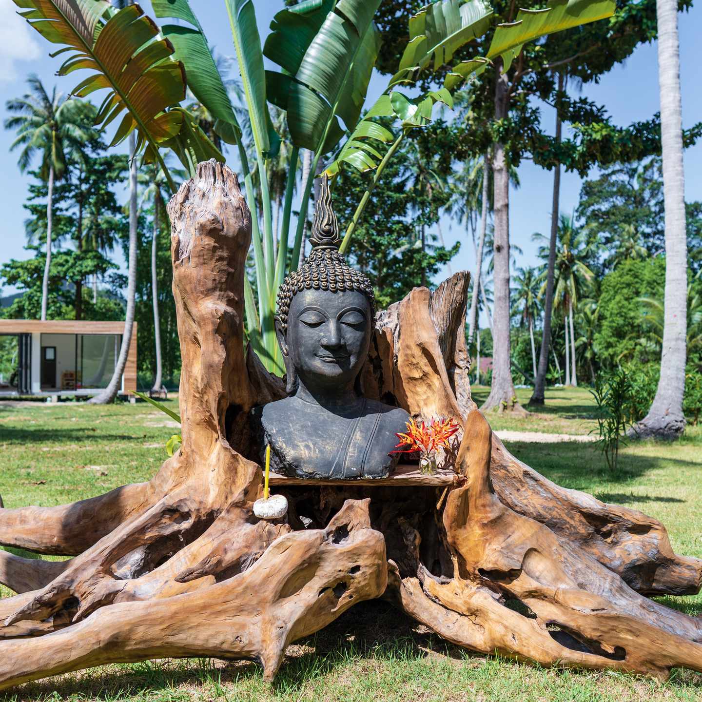 bltd721e15eede4163c-Thailand-Koh-Phangan-Buddha-in-Baumwurzel-g-1412200812.jpg Buddha in Baumwurzel