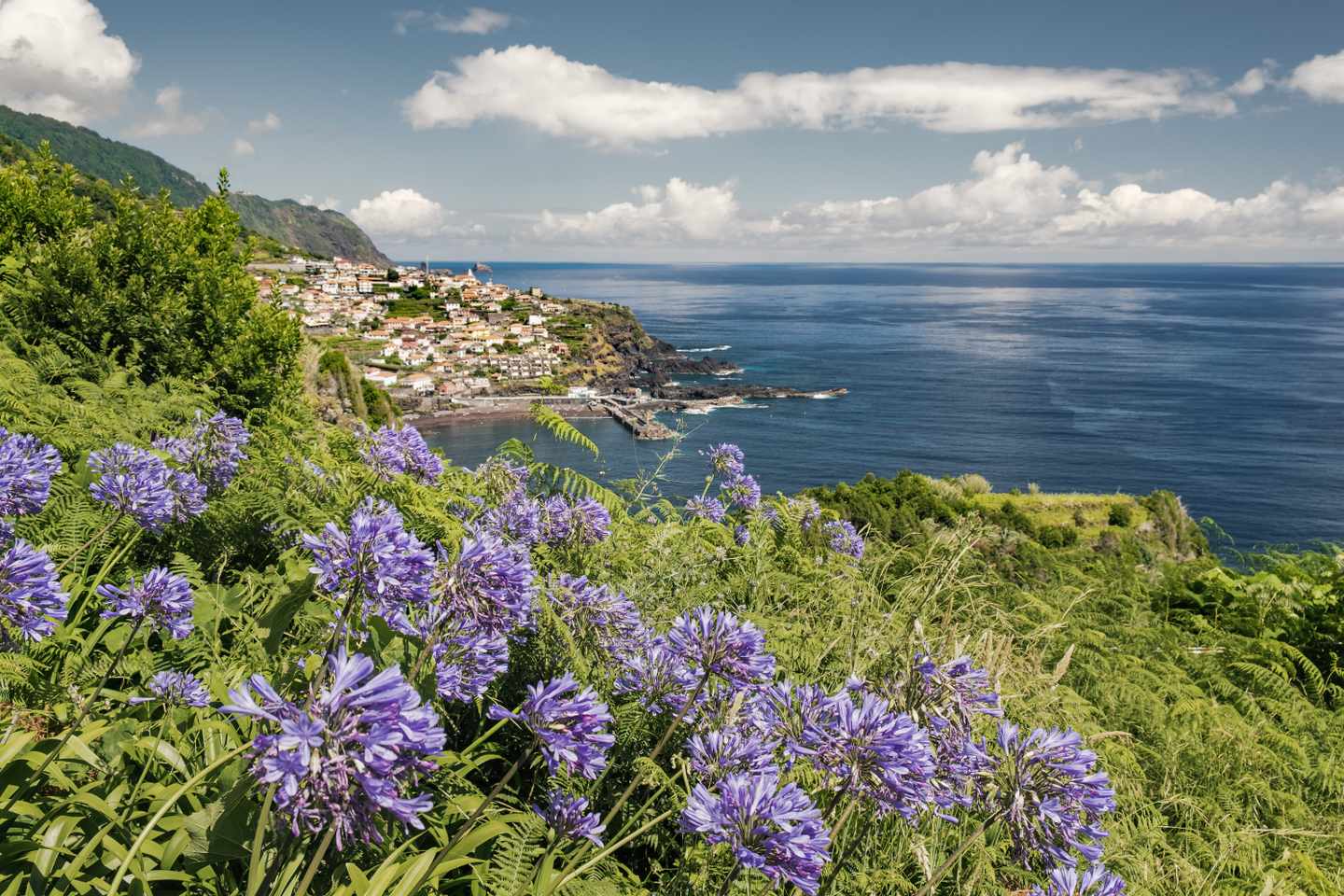 portugal-madeira-g-1255894250.jpg