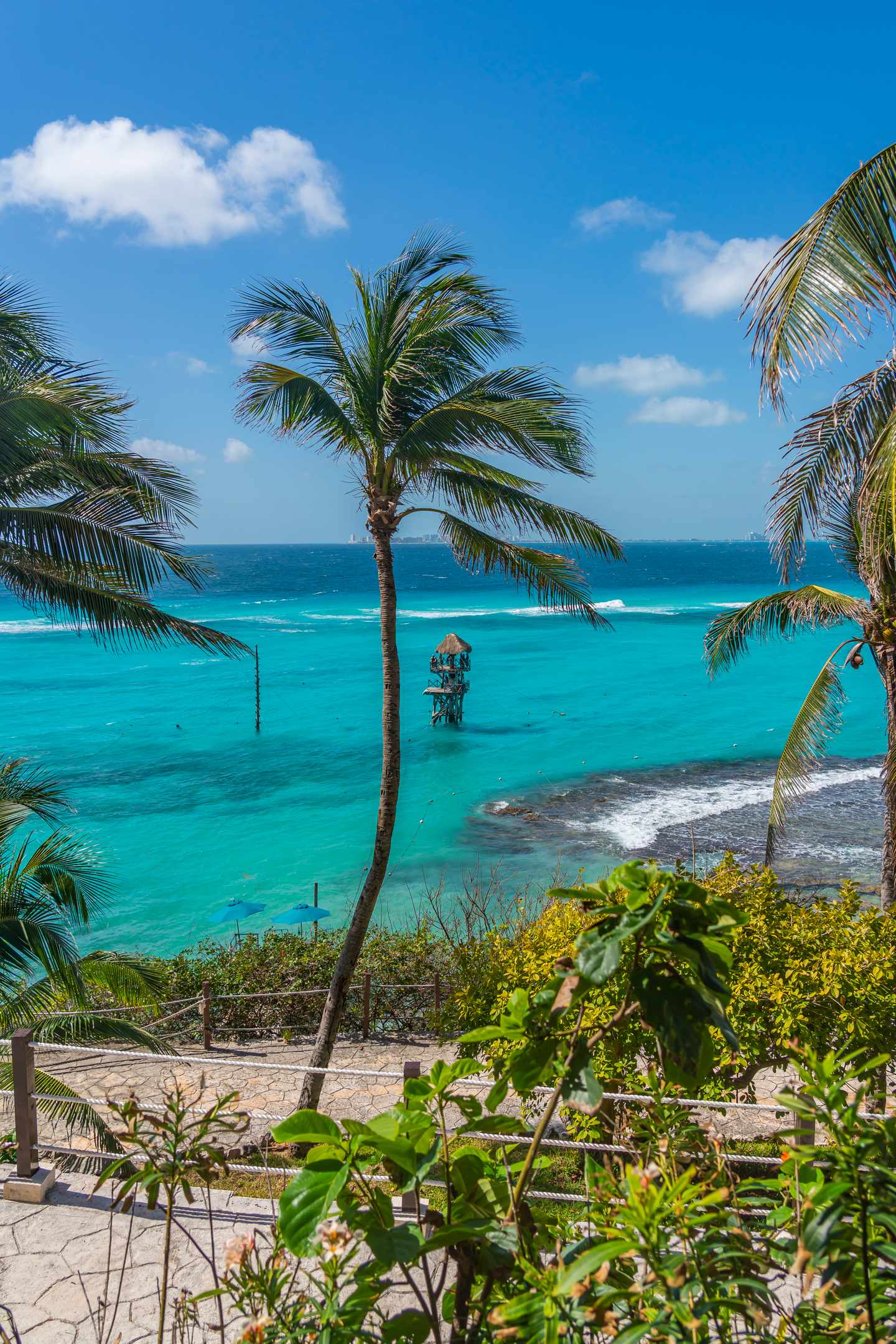 GettyImages-1316641791.jpg Palmen im Wind vor azurblauem Meer auf der Isla Mujeres