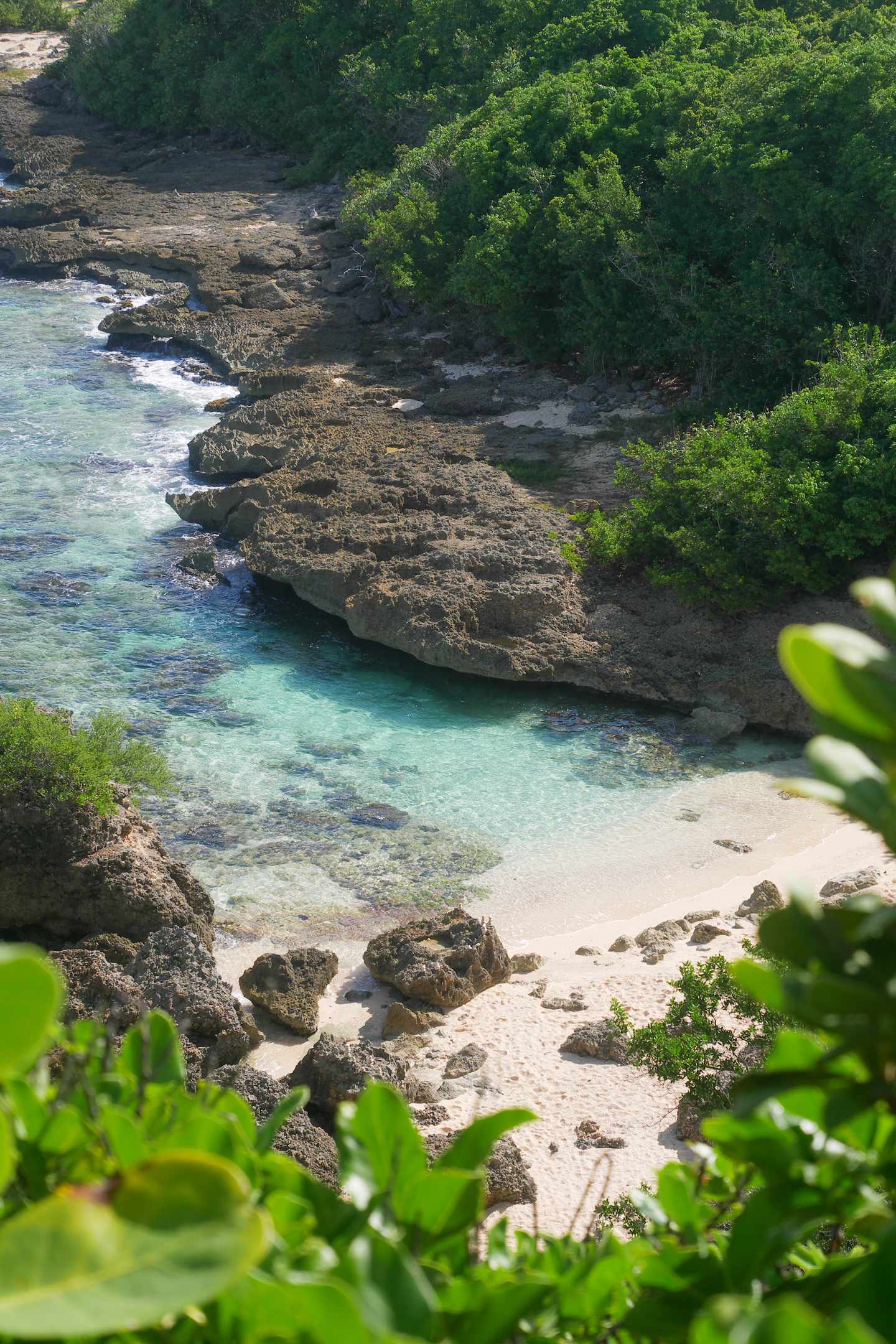 guadeloupe-strand-blick-von-oben-g-1187144311.jpg Guadeloupe Urlaub: Blick von oben auf den Creek Beach auf Guadeloupe