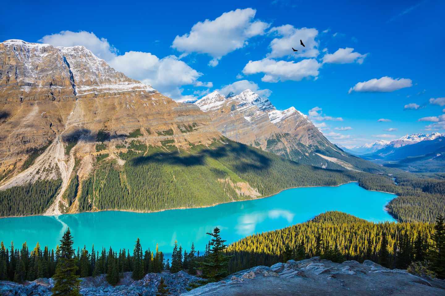 kanada-banff-nationalpark-peyto-see-von-oben-g-537520472.jpg