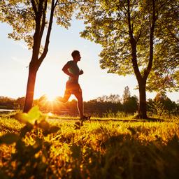 Sporthotels im Sauerland