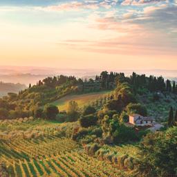 italien-toskana-landschaft-sonnenuntergang-g-1021054474.jpg