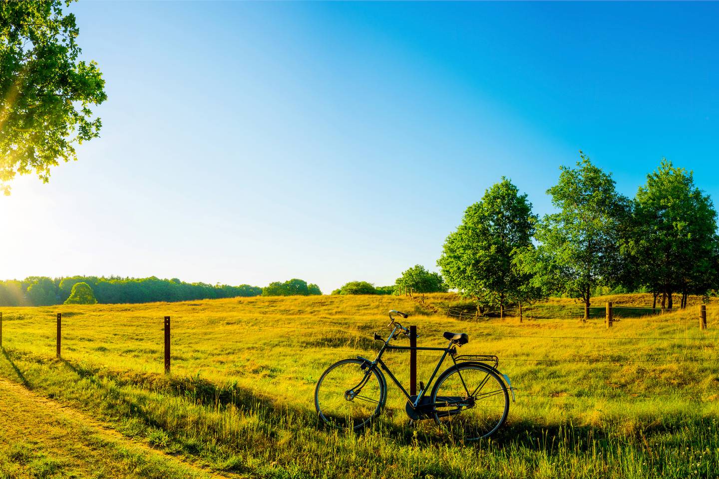 blt6ec766edfda5c94c-deutschland-fahrrad-auf-dem-feld-g-810038458.jpg deutschland-fahrrad-auf-dem-feld-g-810038458.jpg