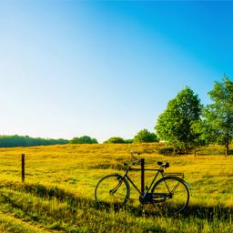 deutschland-fahrrad-auf-dem-feld-g-810038458.jpg