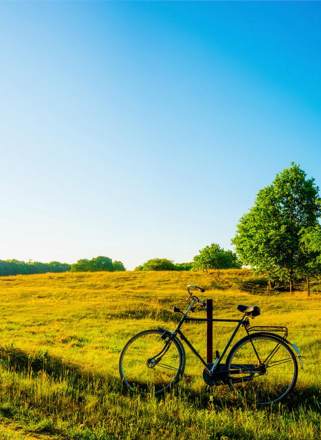 Fahrradurlaub Deutschland deutschland-fahrrad-auf-dem-feld-g-810038458.jpg