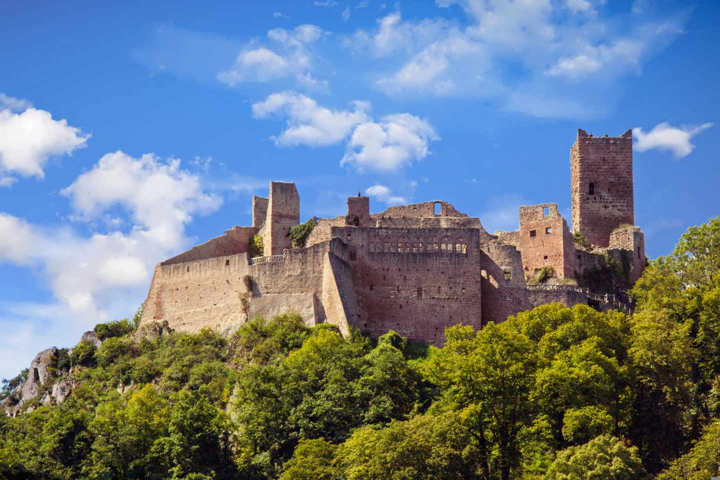 frankreich-elsass-chateau-saint-ulrich-klein-g-910360254.jpg