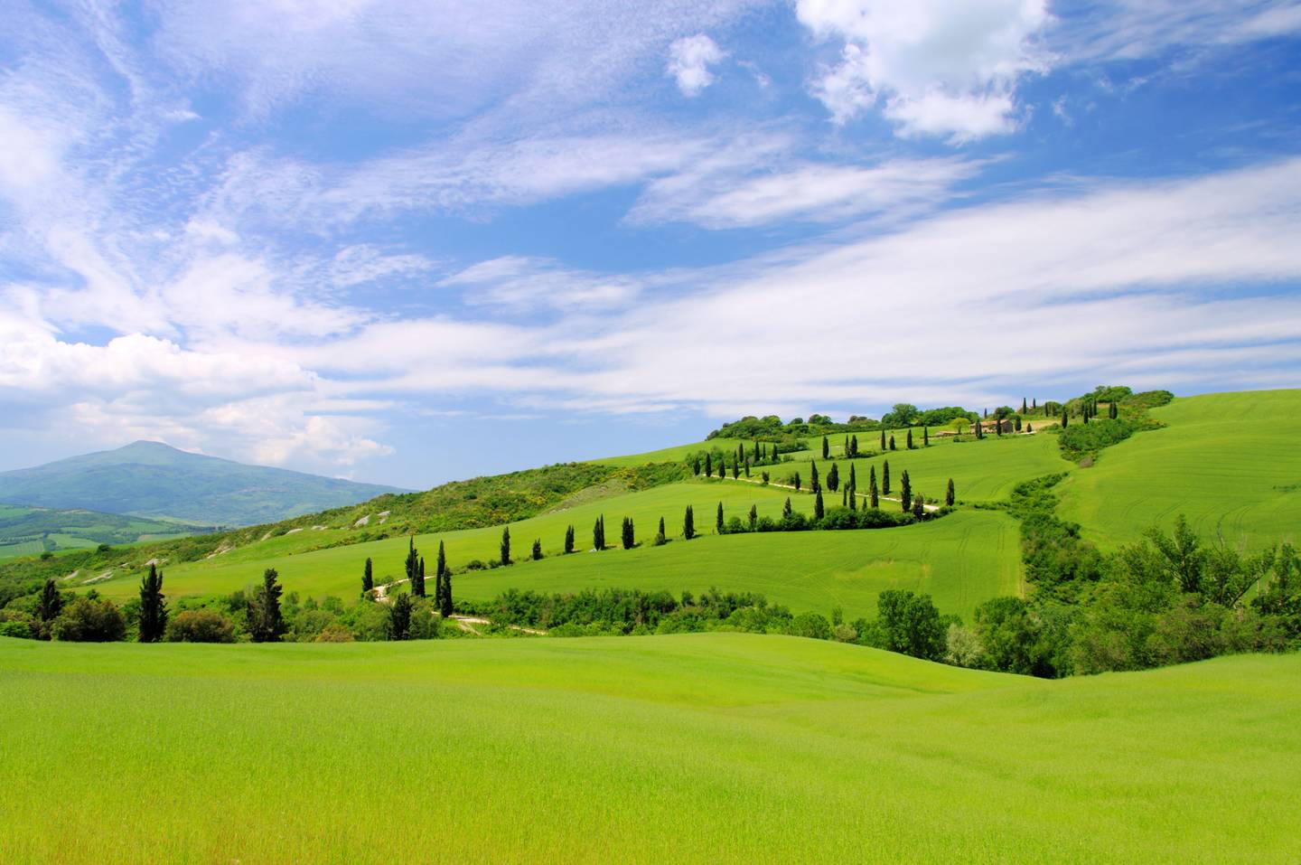 blte696b34e946971f5-italien-landschaft-huegel-zypressen-t-126950625.jpg italien-landschaft-huegel-zypressen-g-126950625.jpg