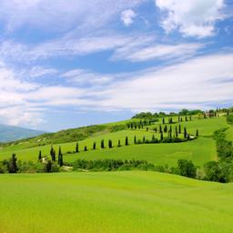 italien-landschaft-huegel-zypressen-g-126950625.jpg