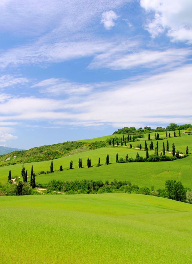 Rundreisen Italien italien-landschaft-huegel-zypressen-g-126950625.jpg