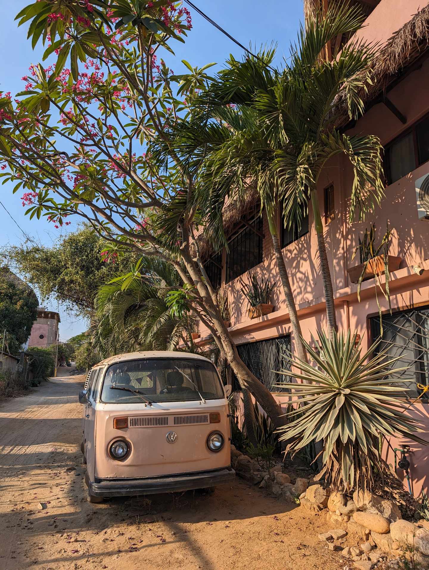 blt6ffb1c459629cc10-PXL_20240429_231937245.jpg Puerto Escondido