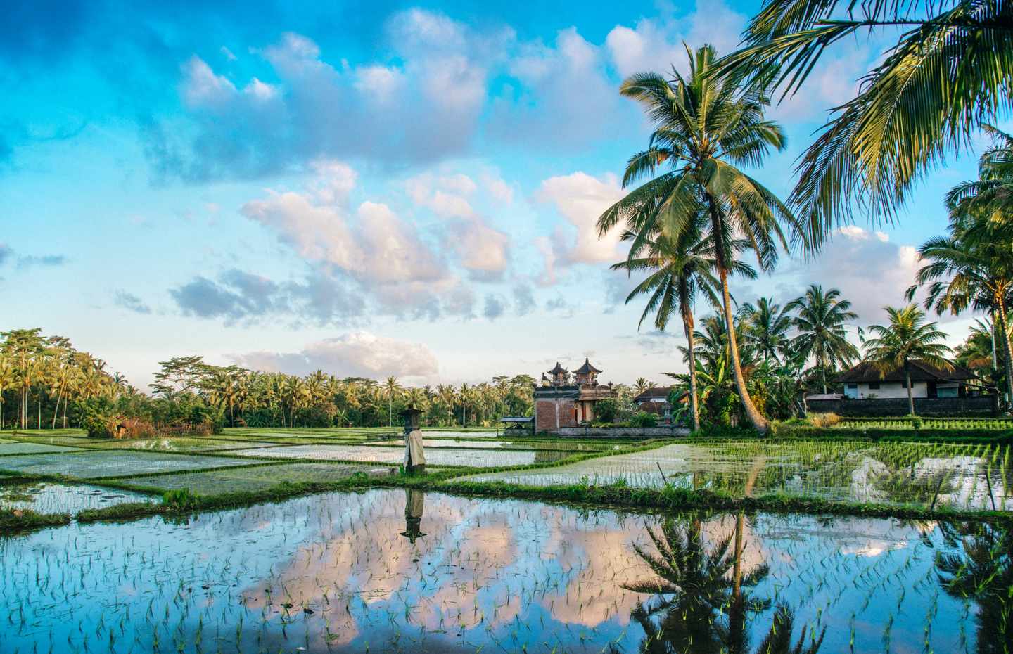 bali-g-857760066.jpg