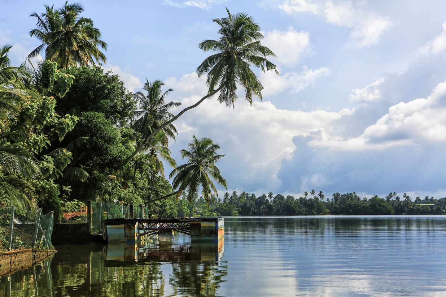 Sri-Lanka-Bentota-Lagune-Palmen-g-834811710.jpg