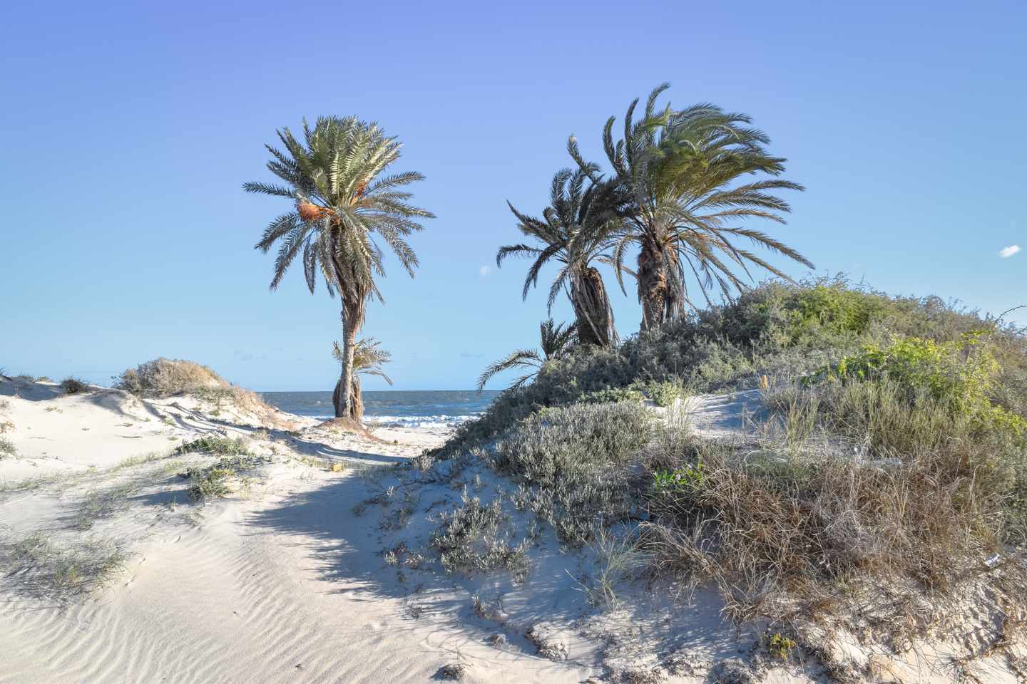 tunesien-djerba-strand-ras-el-rmal-g-670829192.jpg