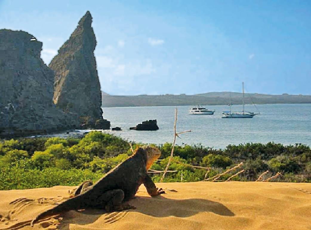 bltf4590059b923f3a8-ecuador-galapagos-inseln-p-L30684.jpg ecuador-galapagos-inseln-p-L30684.jpg
