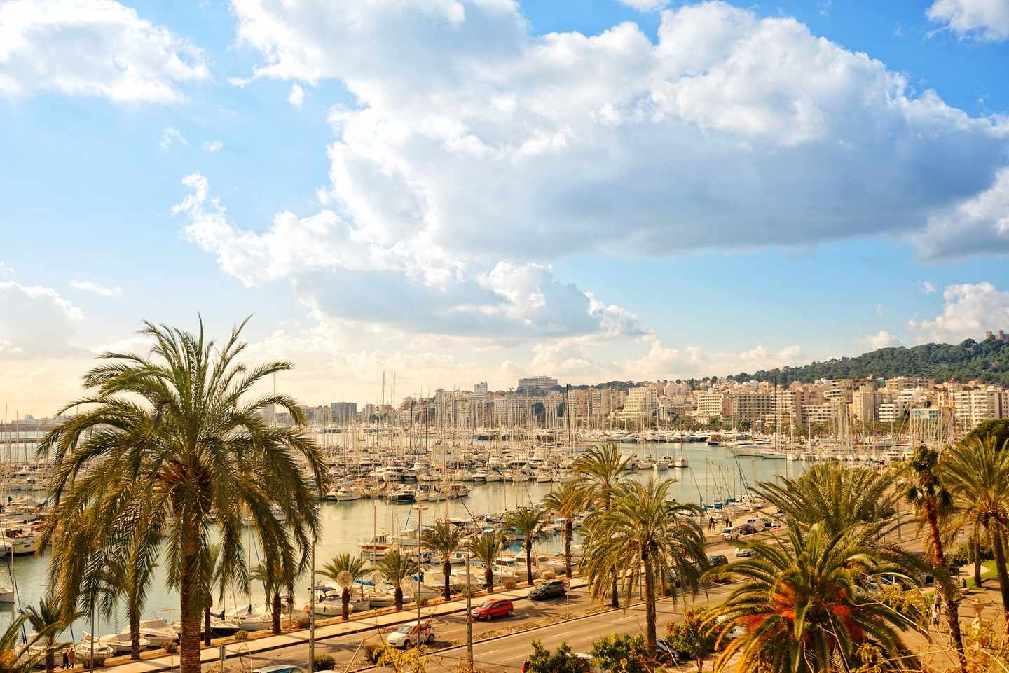 all-inclusive-hotel-playa-de-palma-g-1133906149.jpg