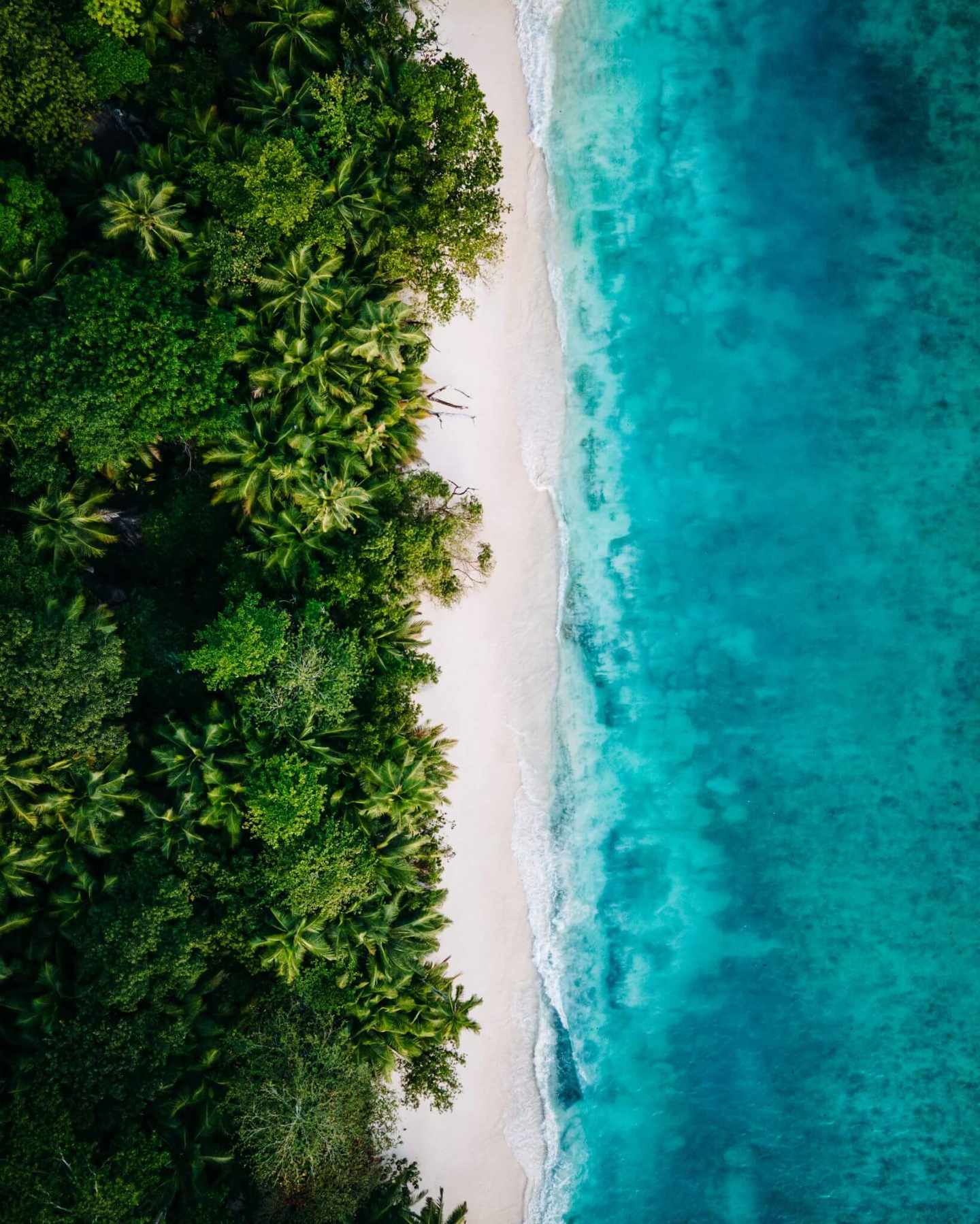 seychellen-strandhochzeit-seychellen-kolkrabenjan-widenka-silhouette-beachVII.jpg