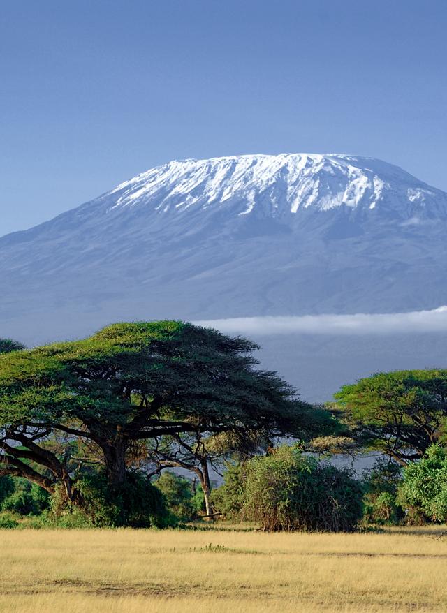 afrika-tansania-kilimandscharo-wandern-bergsteigen-amboseli-g-599754210.jpg