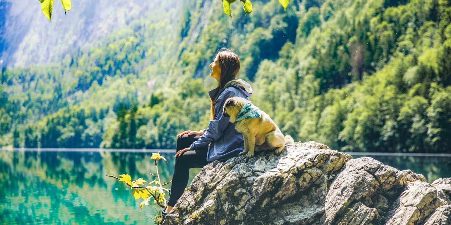 urlaub-mit-hund-eine-frau-sitzt-mit-einem-hund-auf-einem-felsen-am-see-g-1204630725.jpg