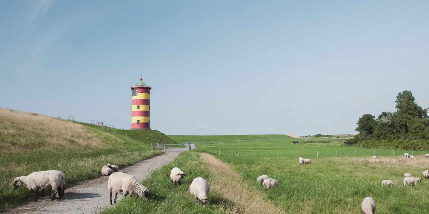 deutschland-niedersachsen-ostfriesland-nordsee-leuchtturm_und_schafe_auf_dem_deich-g-182922911.jpg