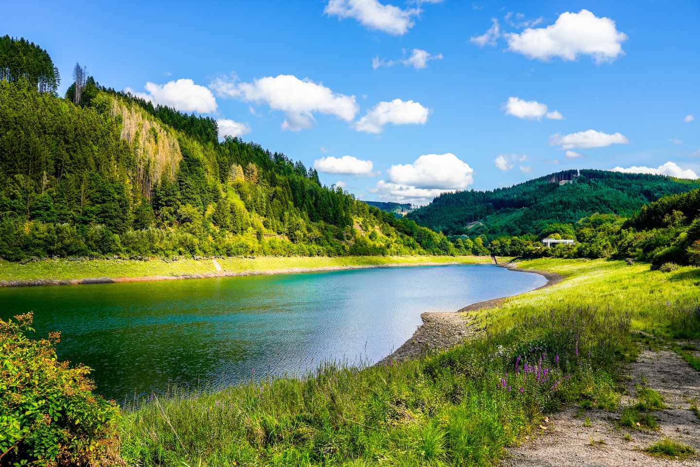 Hotels im Sauerland: Blick auf die Glingebachtalsprerre