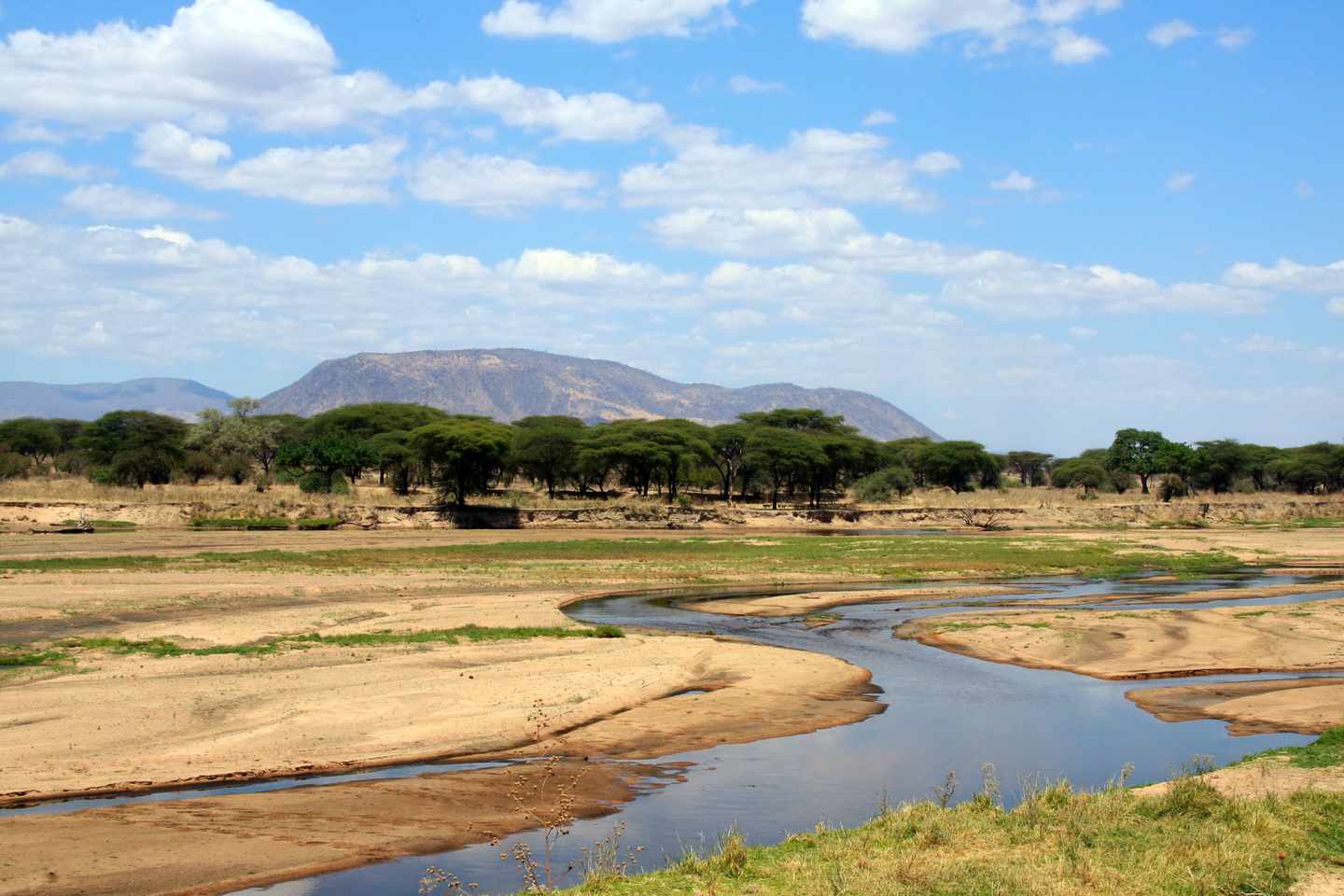 tansania-ruaha-fluss-trockenzeit-g-92204260.jpg
