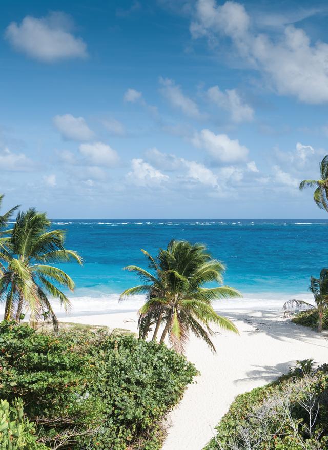 karibik-barbados-bottom-bay-strand-g649540720.jpg