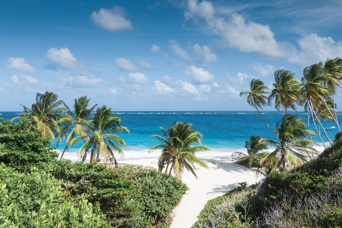 karibik-barbados-bottom-bay-strand-g649540720.jpg