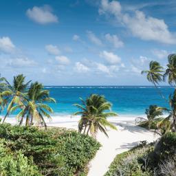 karibik-barbados-bottom-bay-strand-g649540720.jpg