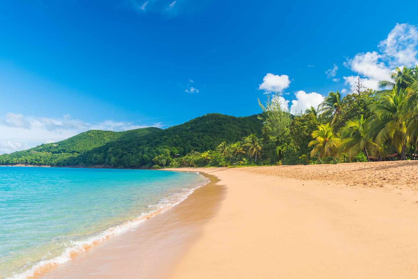 guadeloupe-grand-anse-beach-klein-g-873865170.jpg