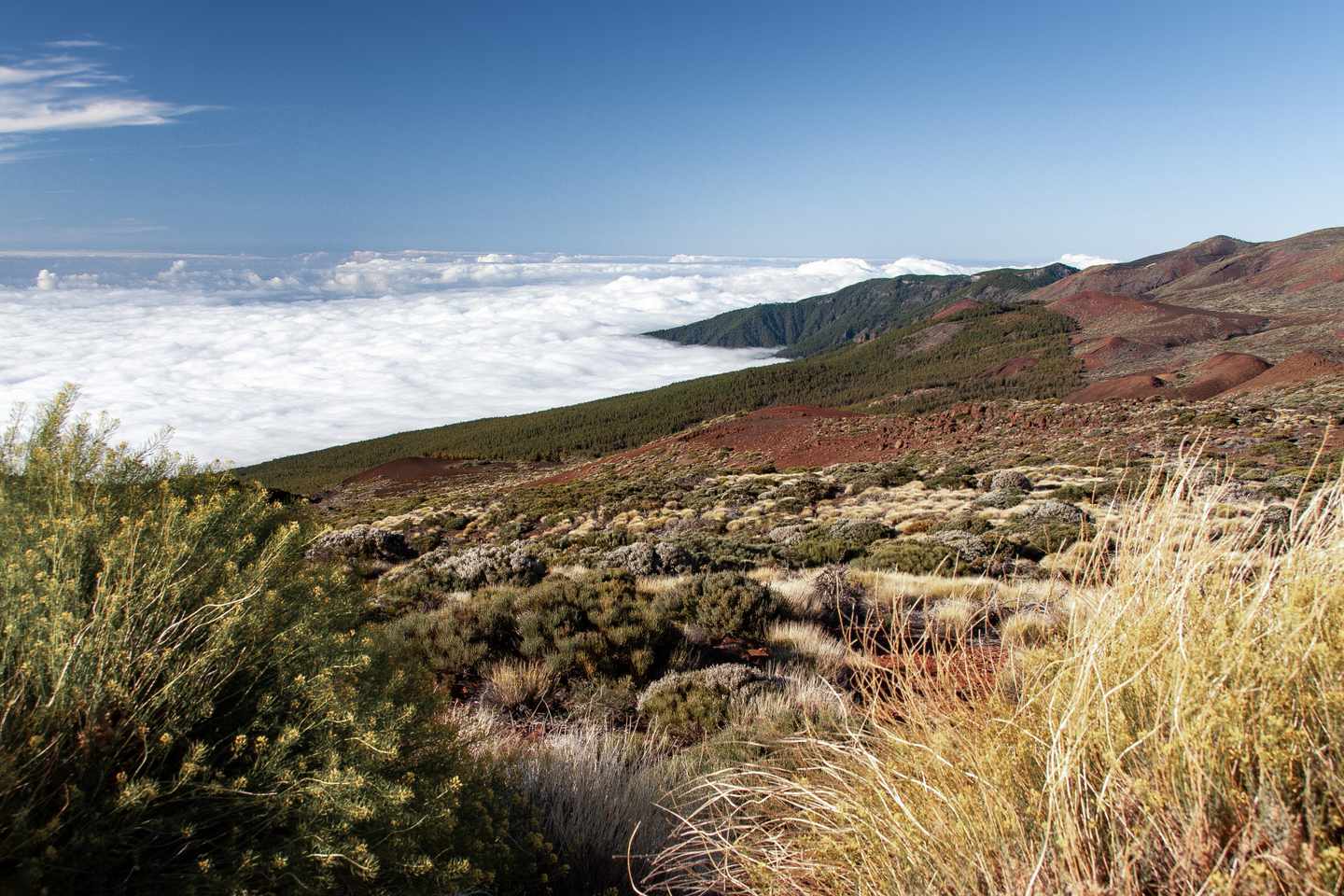 spanien-kanaren-pico-del-teide-g-1275147511.jpg