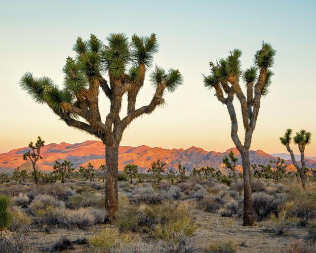 Best of the West - Traumroute durch den Südwesten der USA
