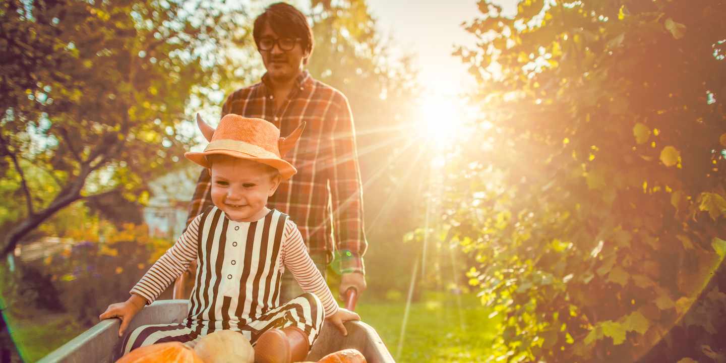 deutschland-herbst-vater-mit-sohn-in-schubkarre-g-1030408938.jpg