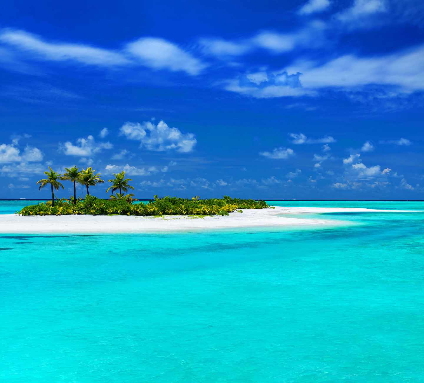 malediven-strand-palmen-t-136410798.jpg