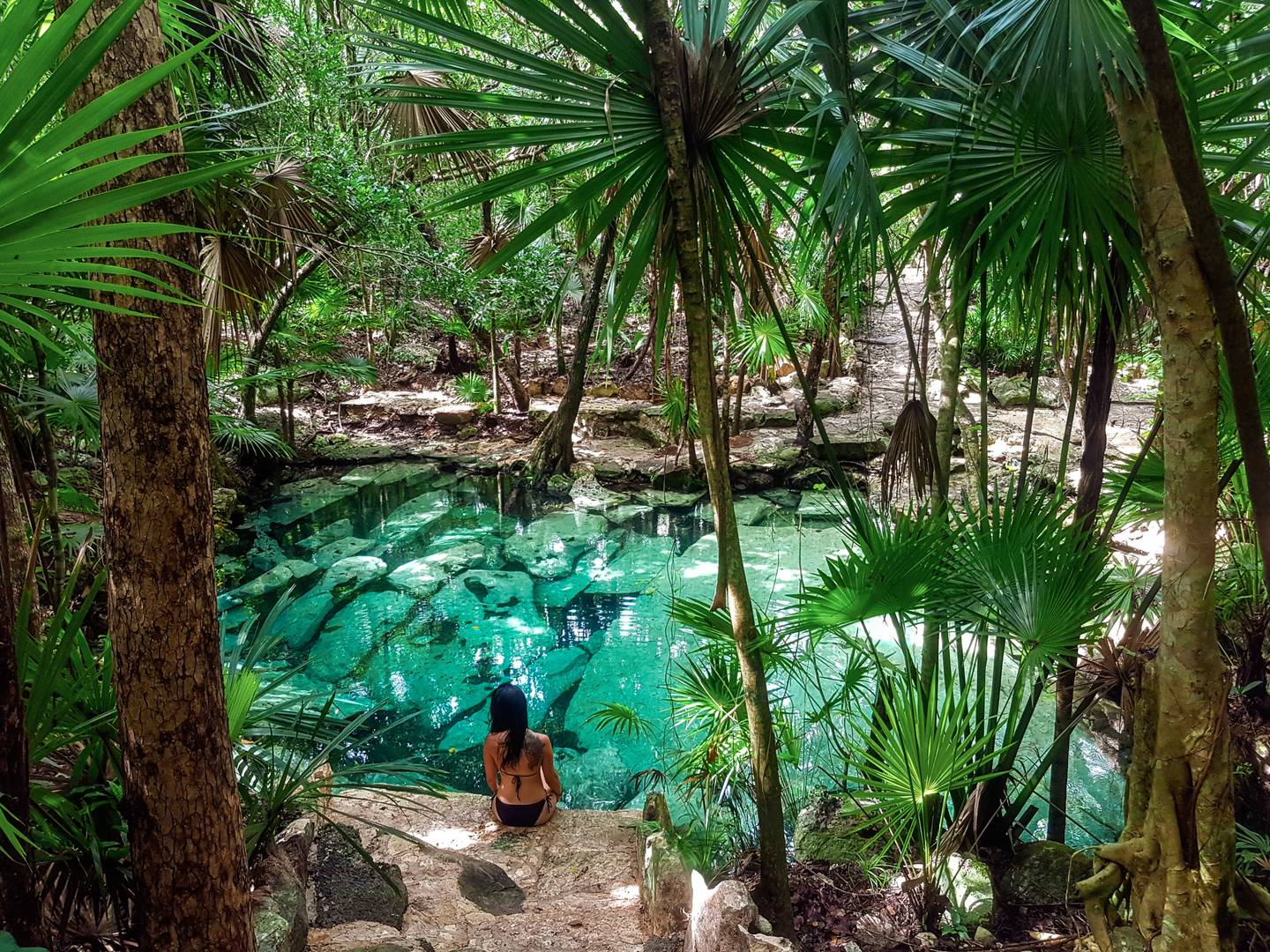 mexiko-yucatan-cenote-azul-g-1168756348.jpg