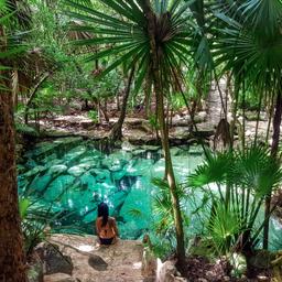 mexiko-yucatan-cenote-azul-g-1168756348.jpg