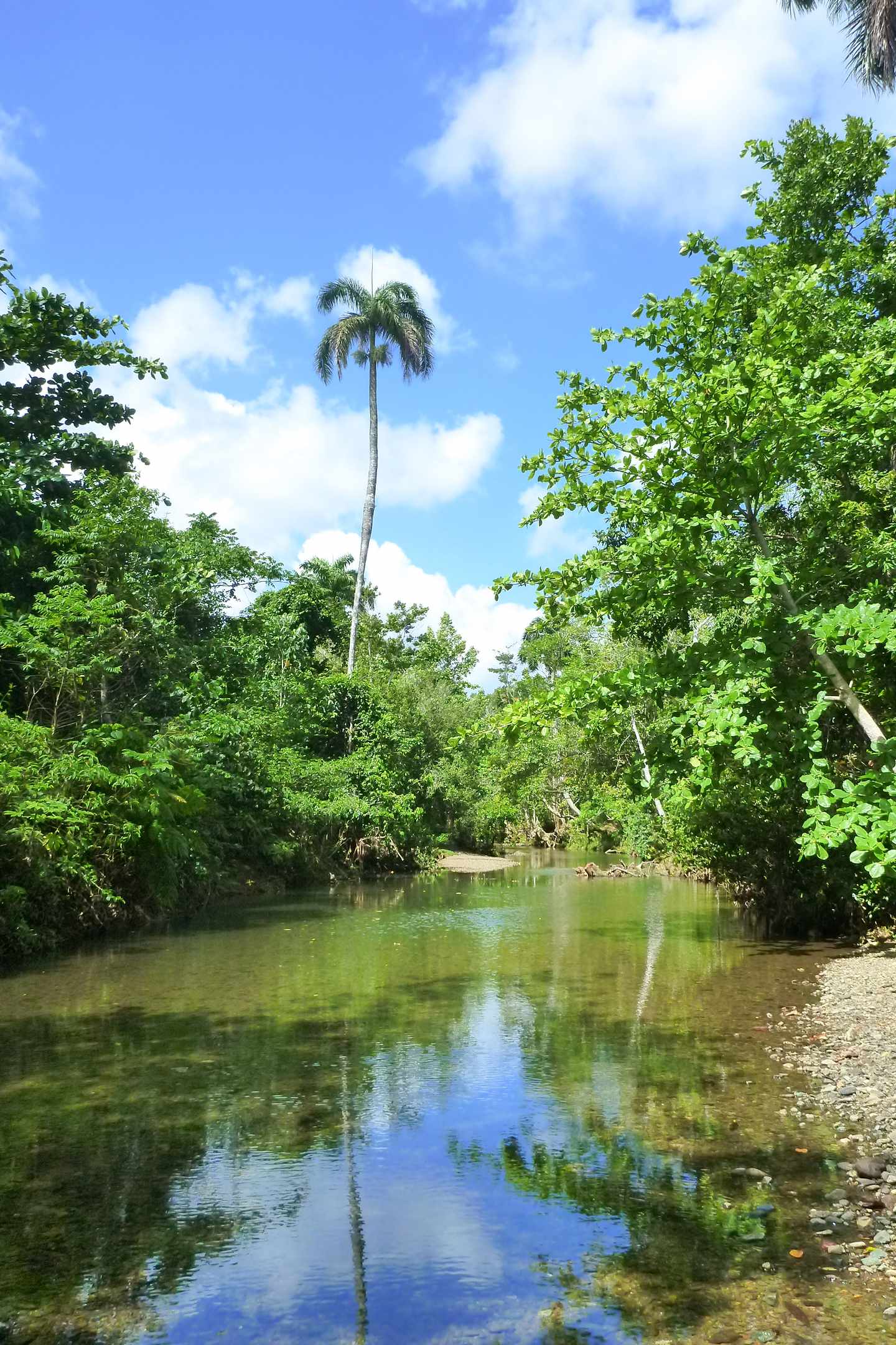 Kuba Urlaub:  Alejandro de Humboldt Nationalpark