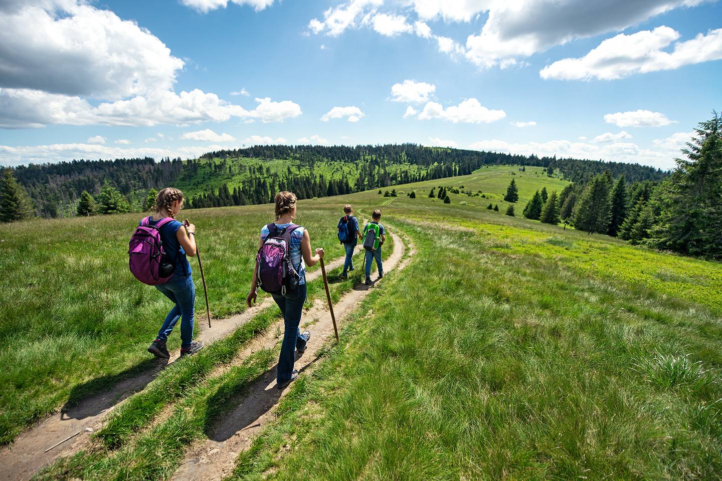 familie-wandern-g-1290980217.jpg