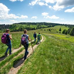 familie-wandern-g-1290980217.jpg